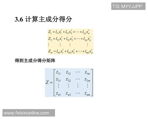 深入探讨杭州乒乓球队的节奏表现与数据分析背后的秘密